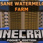 Insane Watermelon Farm — арбузная ферма